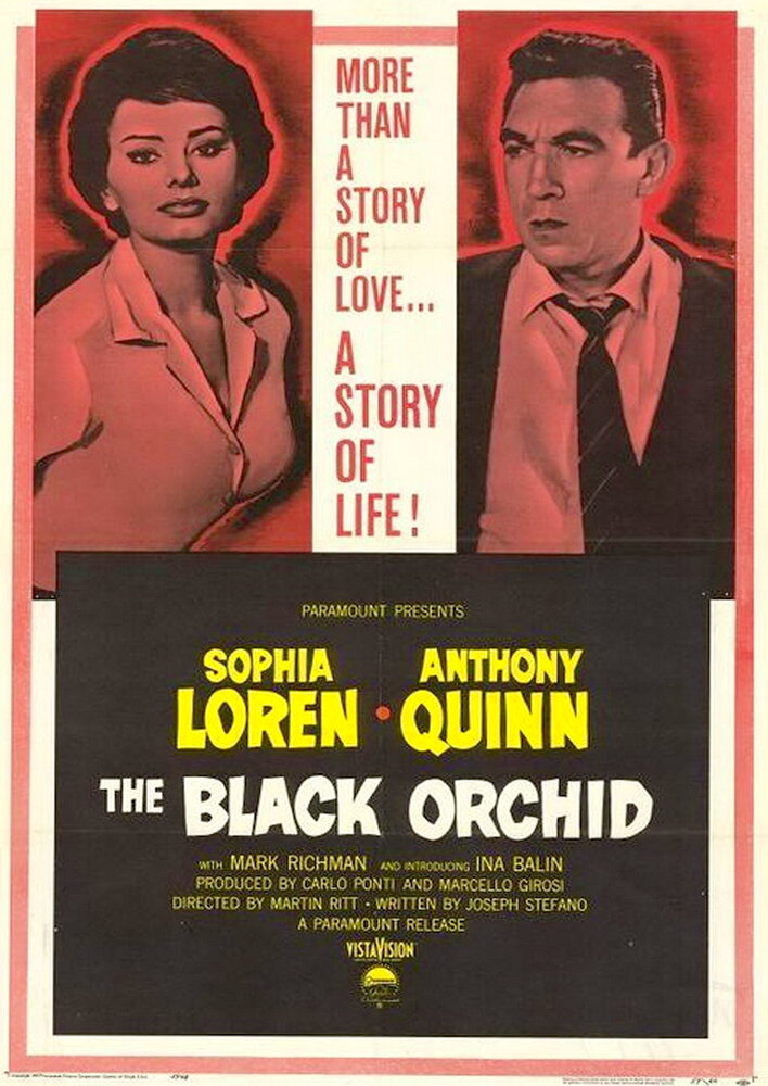 The Black Orchid