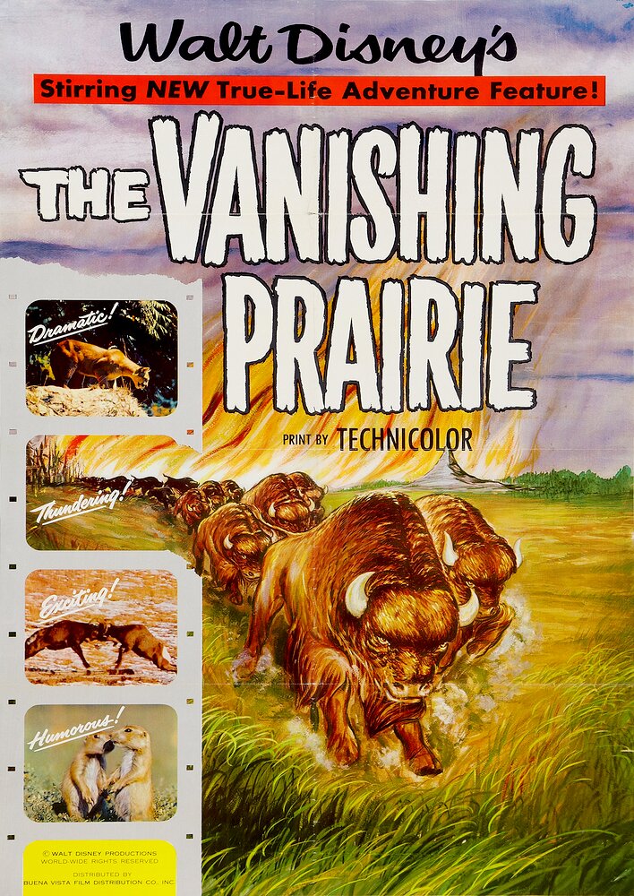 The Vanishing Prairie