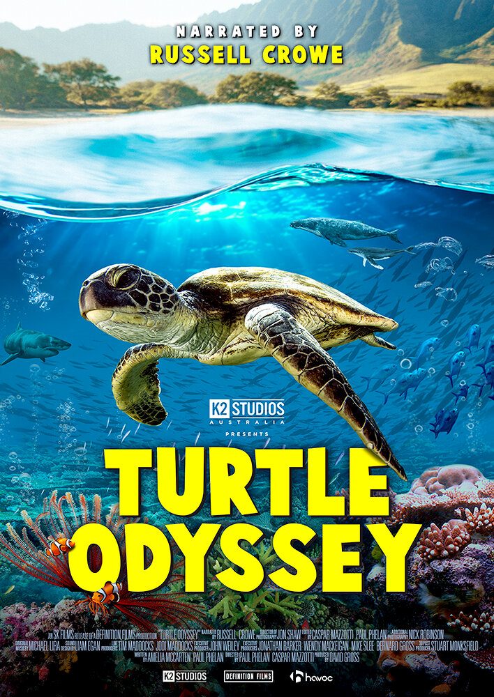 Turtle Odyssey