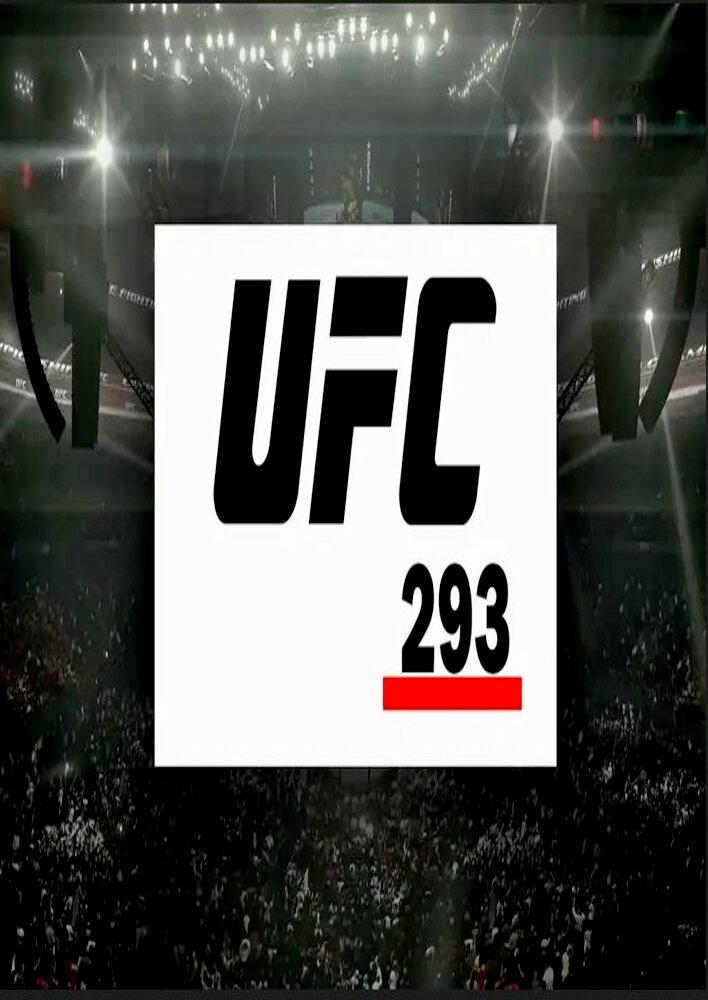 UFC 293