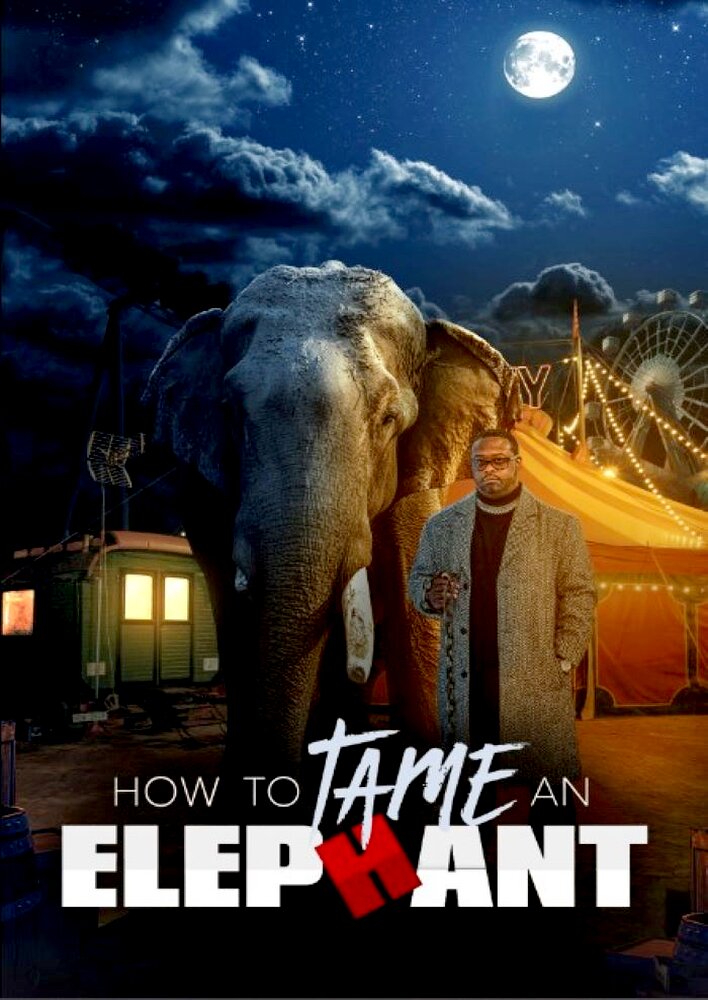 How to Tame an Elephant