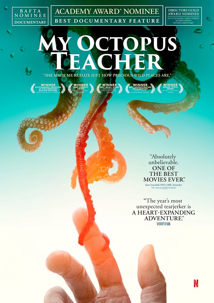 My Octopus Teacher