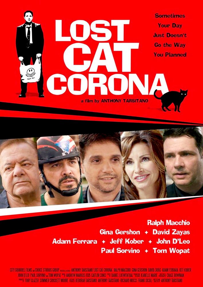 Lost Cat Corona