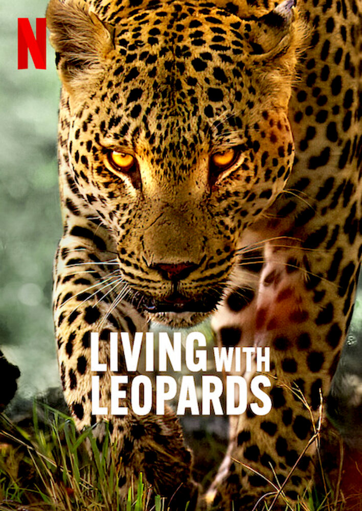 Living with Leopards