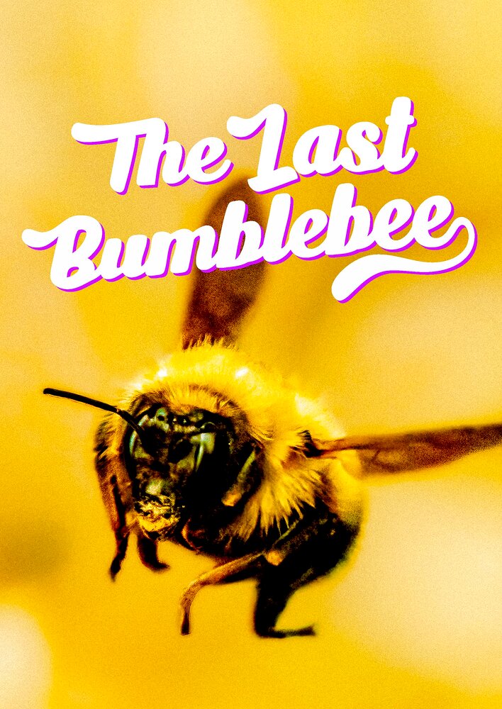 The Last Bumblebee