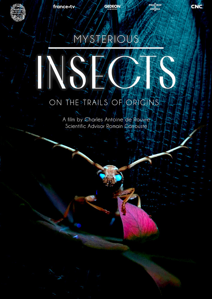 Mysterious Origins of Insects