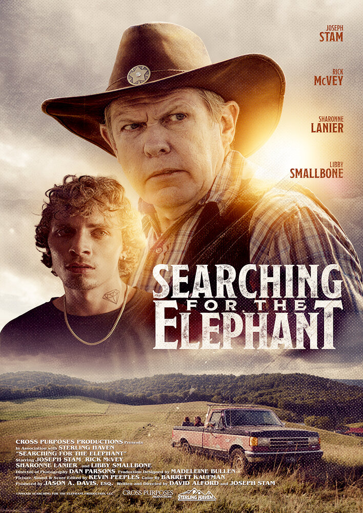 Searching for the Elephant