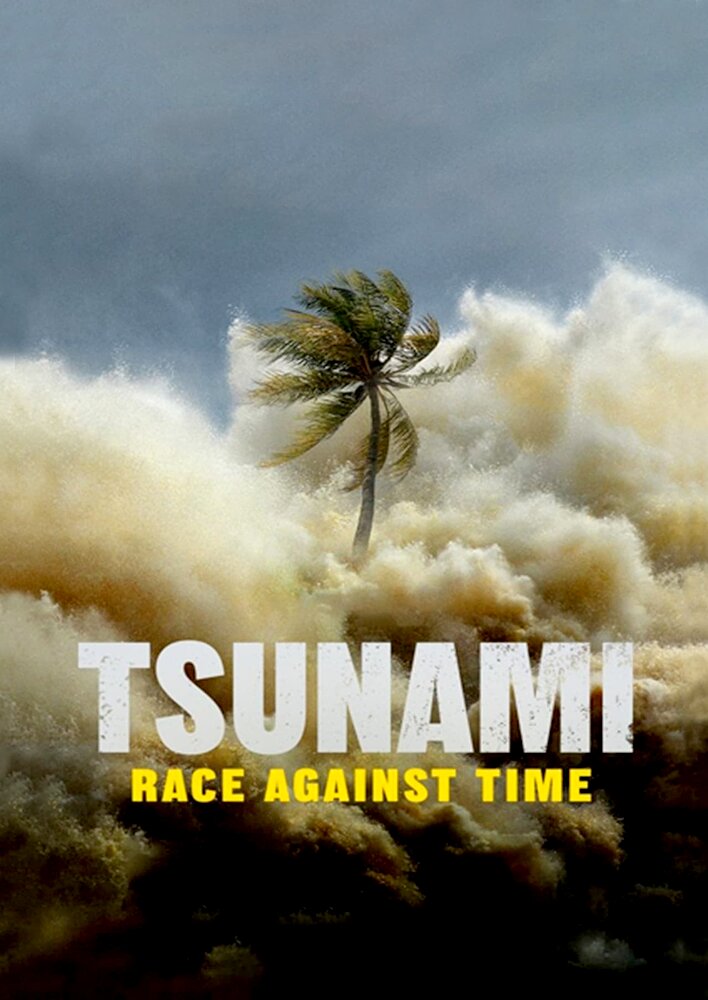 Tsunami: Race Against Time