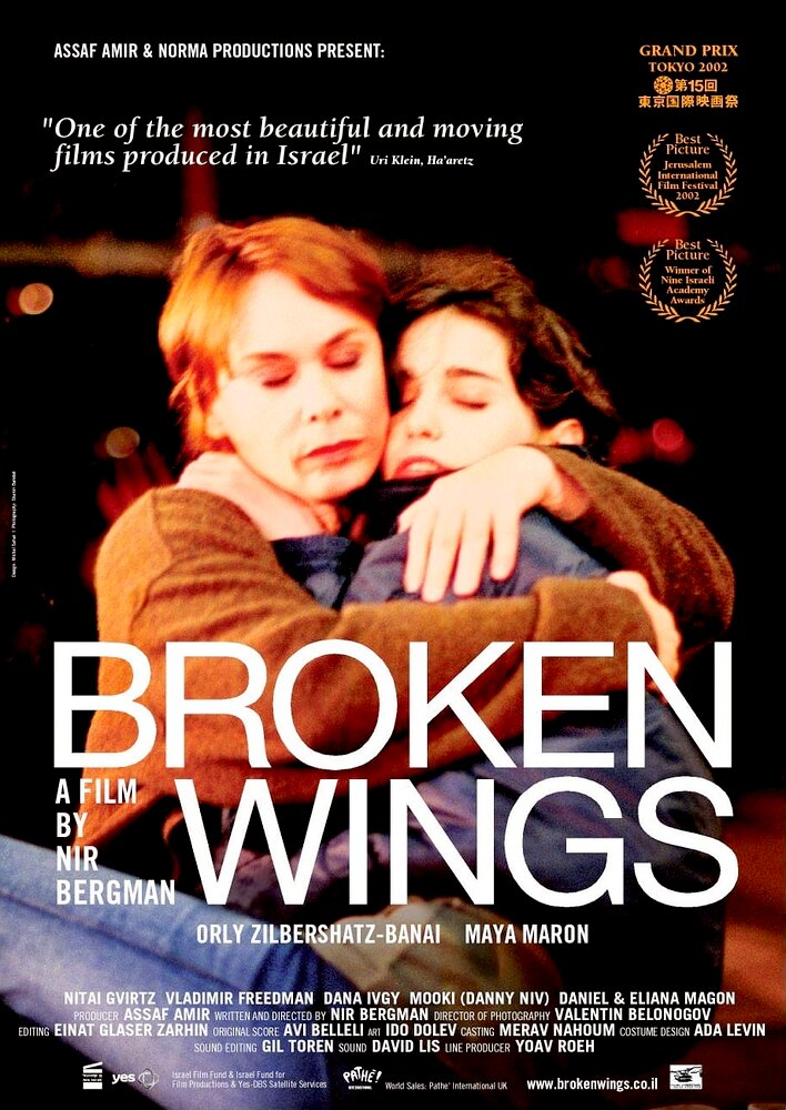 Broken Wings