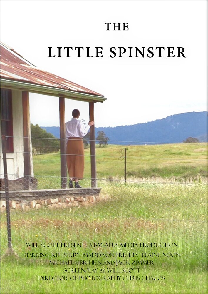 The Little Spinster