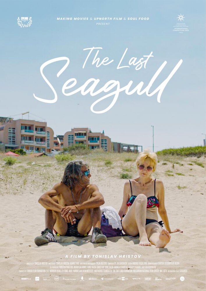 The Last Seagull