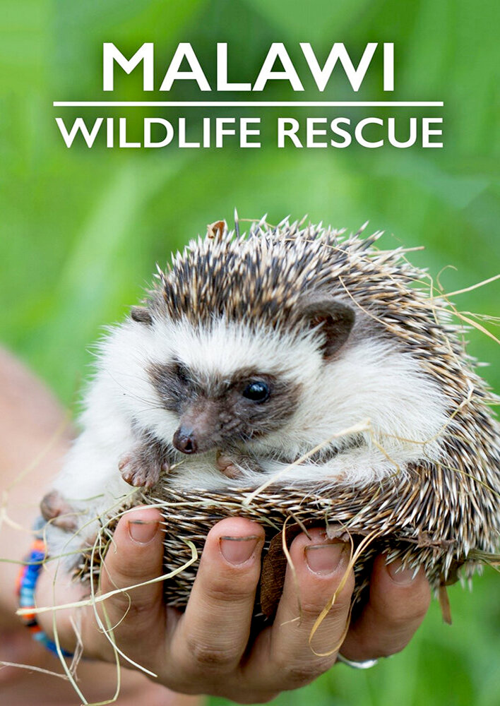 Malawi Wildlife Rescue