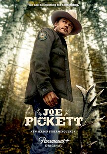 Joe Pickett