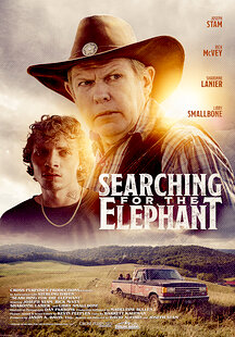 Searching for the Elephant