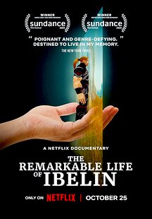 The Remarkable Life of Ibelin