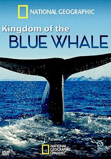 Kingdom of the Blue Whale