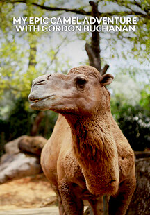 My Epic Camel Adventure with Gordon Buchanan