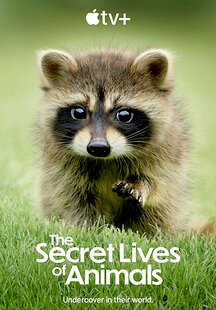 The Secret Lives of Animals