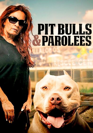 Pit Bulls and Parolees