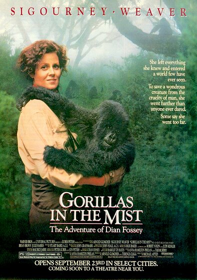 Gorillas in the Mist