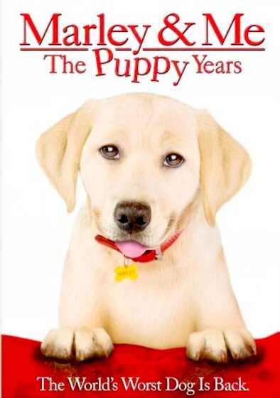 Marley & Me: The Puppy Years