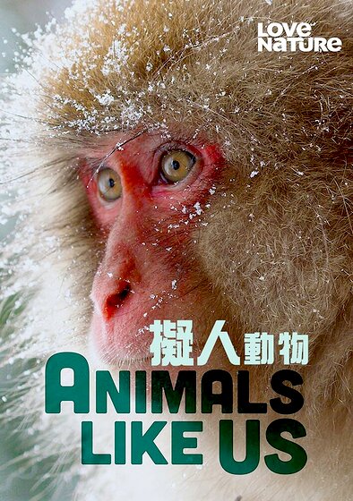 Animals Like Us