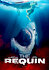 The Requin