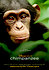 Chimpanzee