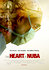 The Heart of Nuba