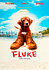 Fluke