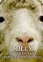 Dolly: The Sheep That Changed the World