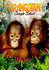 Orangutan Jungle School