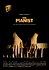 The Pianist