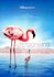 The Crimson Wing: Mystery of the Flamingos