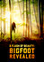 A Flash of Beauty: Bigfoot Revealed