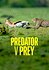 Predator v Prey