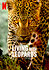 Living with Leopards