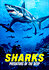 Sharks: Predators of the Deep