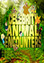 Celebrity Animal Encounters