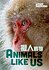 Animals Like Us