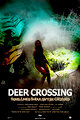 Deer Crossing