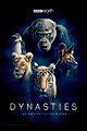 Dynasties