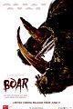 Boar