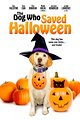 The Dog Who Saved Halloween