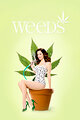 Weeds