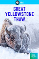 Great Yellowstone Thaw