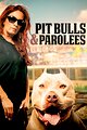 Pit Bulls and Parolees