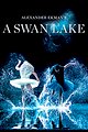 A Swan Lake