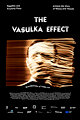 The Vasulka Effect