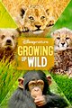 Growing Up Wild